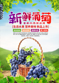 葡萄海报