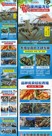 龙虾