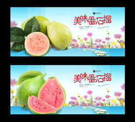 番石榴