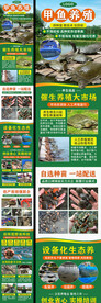 甲鱼养殖