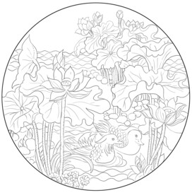 白描荷花 