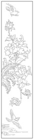 牡丹花