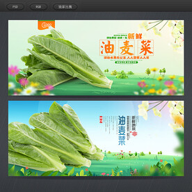 油麦菜