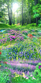 清新草地风景3D玄关