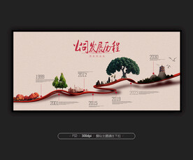 公司发展历程 