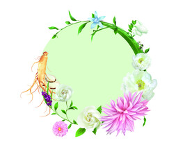 中药花草合成