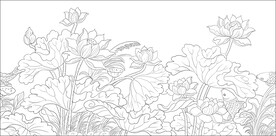 白描荷花 
