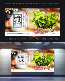 生菜