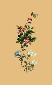 定位花