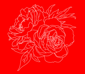 牡丹花线稿图