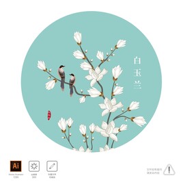 白玉兰 插画