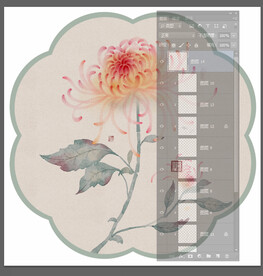 菊花 手绘