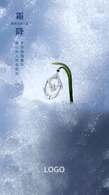 霜降海报 珠宝海报