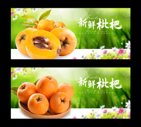 枇杷