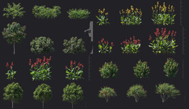 植物