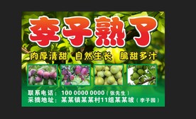 李子熟了