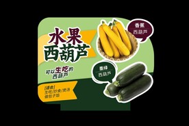 水果西葫芦