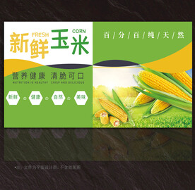 玉米展板