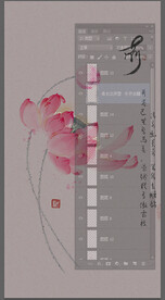 荷花 手绘