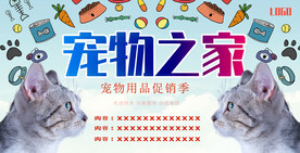 宠物