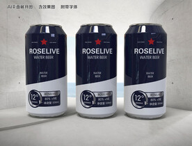 易拉罐啤酒包装