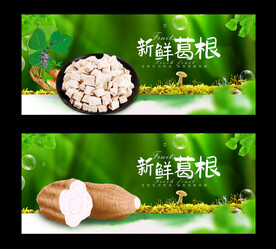 葛根