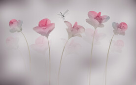 立体花朵背景墙