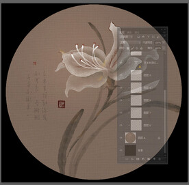 朱顶红 手绘