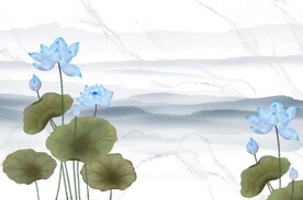 荷花背景墙