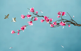 手绘玉兰花鸟