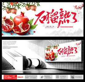 软籽石榴 