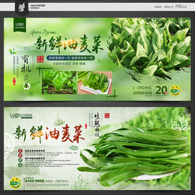 油麦菜