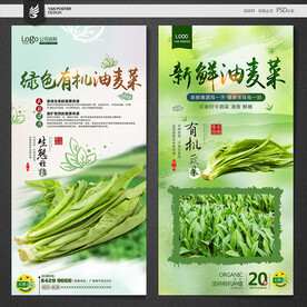 油麦菜
