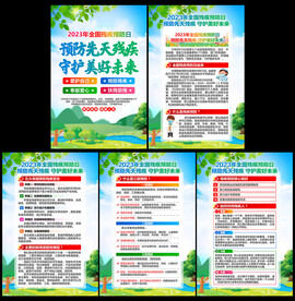 全国残疾预防日