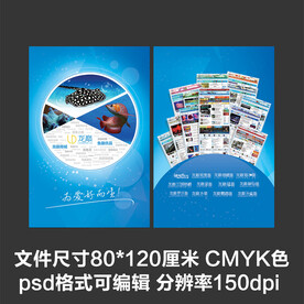 蓝色观赏鱼公司展板海报
