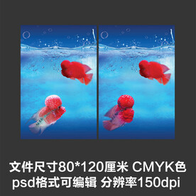 罗汉鱼观赏鱼空气缸海报壁纸