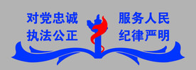 对党忠诚服务人民