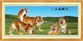 老虎图