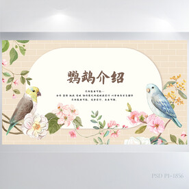 手绘水彩风鸟类鹦鹉介绍展板海报