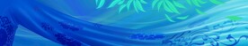 水袖飞