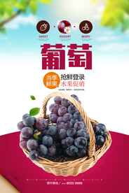 葡萄