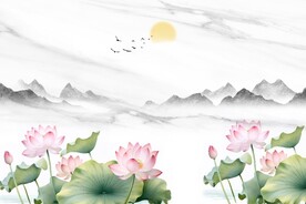 荷韵背景墙