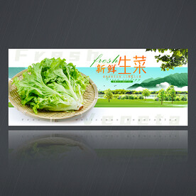 生菜