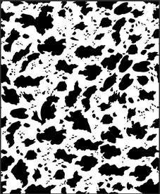 豹纹