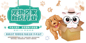 宠物