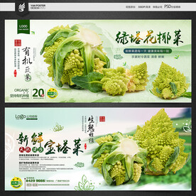 绿塔花菜