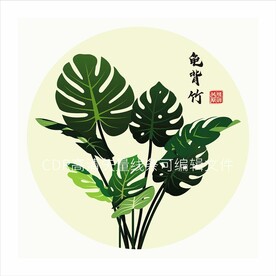 龟背竹
