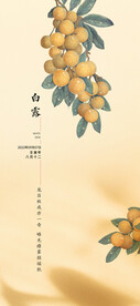 秋分节气海报