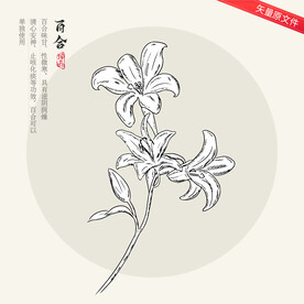 百合