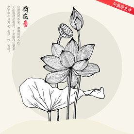 矢量荷花